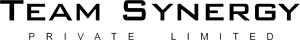 Logo for Team Synergy